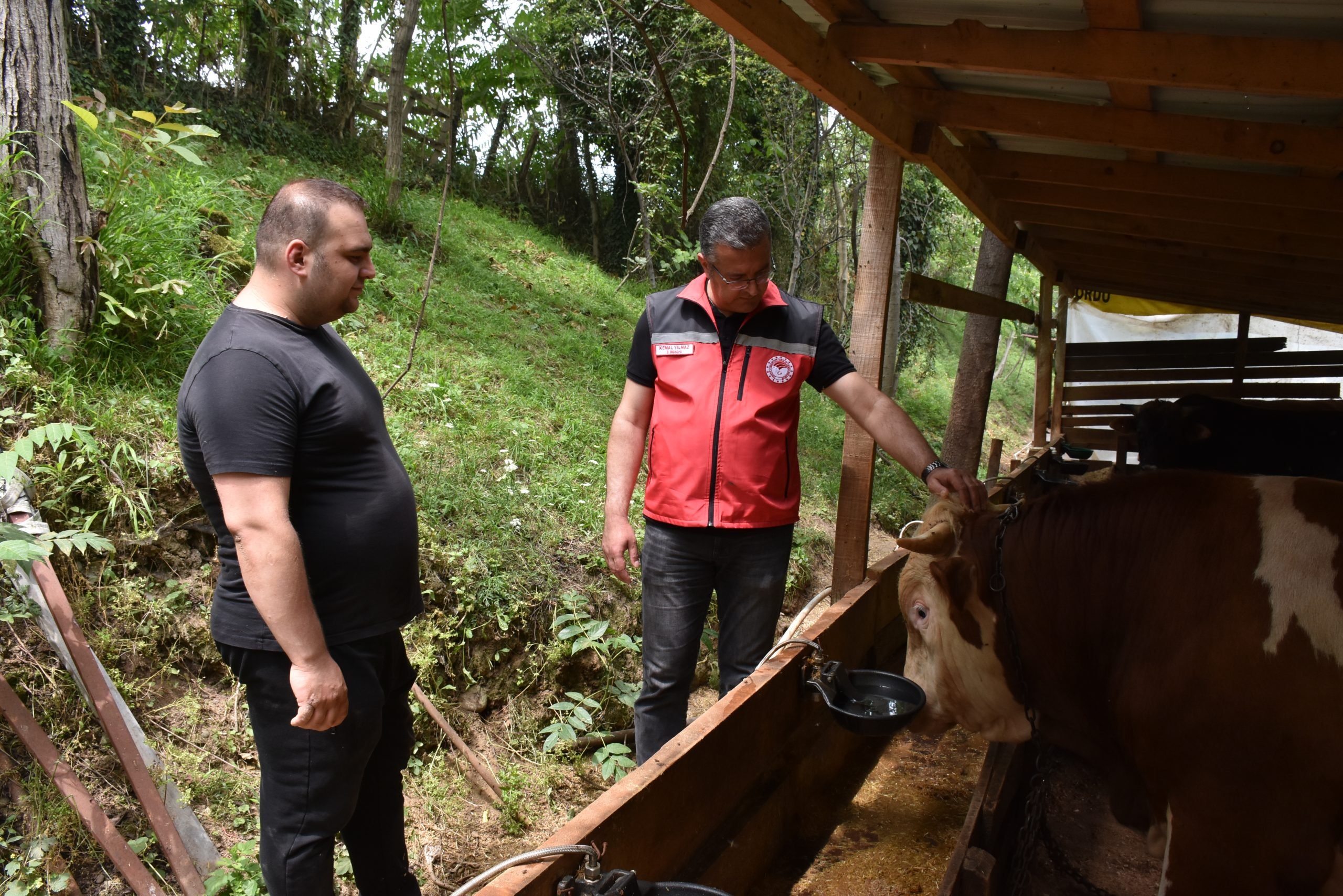Ordu Tarım ve Orman Müdürü Yılmaz kurban kesimiyle ilgili uyardı