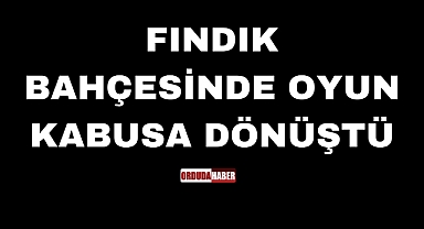 FINDIK BAHÇESİNDE OYUN KABUSA DÖNÜŞTÜ