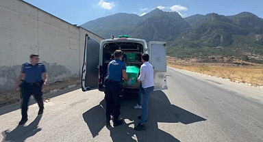 Kardeşini istismar ettiğini iddia ettiği babasını öldürdü