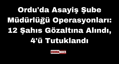 Ordu'da Asayiş Şube Müdürlüğü Operasyonları: 12 Şahıs Gözaltına Alındı, 4'ü Tutuklandı