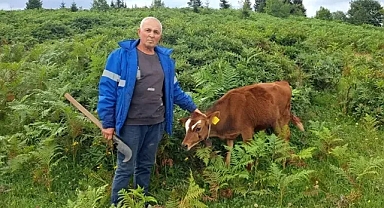 ORDU'DA AYI AHIRDAN DANAYI KAÇIRDI