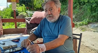 ORDU'DA EŞEK ARISI SOKTU, CANINDAN OLUYORDU!