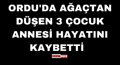 ORDU'DA AĞAÇTAN DÜŞEN 3 ÇOCUK ANNESİ HAYATINI KAYBETTİ