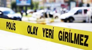 ORDU'DA BACANAKLARIN KAVGASINDA BİR KİŞİ YARALANDI
