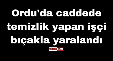 Ordu'da caddede temizlik yapan işçi bıçakla yaralandı