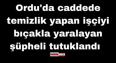 Ordu'da caddede temizlik yapan işçiyi bıçakla yaralayan şüpheli tutuklandı 