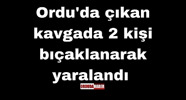 Ordu'da çıkan kavgada 2 kişi bıçaklanarak yaralandı