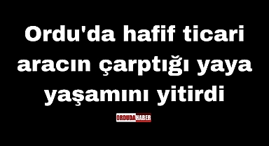 Ordu'da hafif ticari aracın çarptığı yaya yaşamını yitirdi