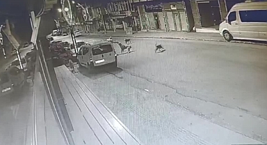 Ordu'da sahipsiz köpeklerin bir kişiye saldırması kameraya yansıdı