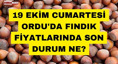 19 EKİM CUMARTESİ ORDU'DA FINDIK FİYATLARINDA SON DURUM NE?