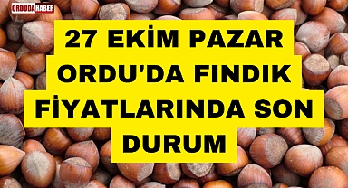 27 EKİM PAZAR ORDU'DA FINDIK FİYATLARINDA SON DURUM