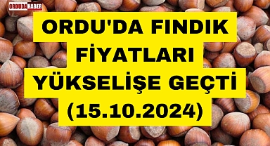 ORDU'DA FINDIK FİYATLARI YÜKSELİŞE GEÇTİ (15.10.2024)