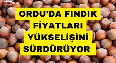 ORDU'DA FINDIK FİYATLARI YÜKSELİŞİNİ SÜRDÜRÜYOR 