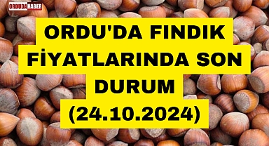 ORDU'DA FINDIK FİYATLARINDA SON DURUM (24.10.2024)