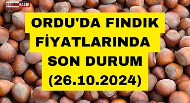ORDU'DA FINDIK FİYATLARINDA SON DURUM (26.10.2024)