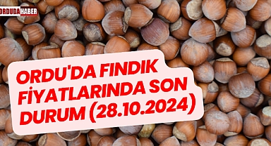ORDU'DA FINDIK FİYATLARINDA SON DURUM (28.10.2024)