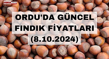 ORDU'DA FINDIK FİYATLARINDA SON DURUM NE? (8.10.2024)