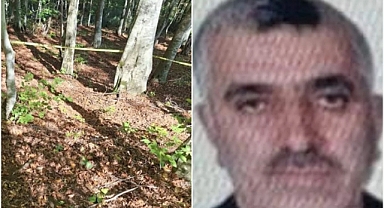 Ordu'da kestiği ağacın altında kalan kişi hayatını kaybetti