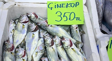 Ordu'da olumsuz hava koşulları balık fiyatlarını artırdı