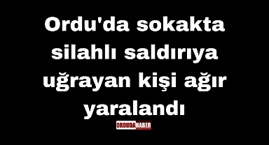 Ordu'da sokakta silahlı saldırıya uğrayan kişi ağır yaralandı