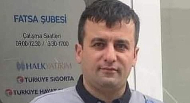 Ordu'da üzerine tomruk düşen otomobilin sürücüsü hayatını kaybetti