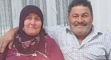 Ordu'da yaban domuzunun saldırısına uğrayan karı koca yaralandı