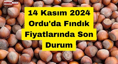 14 Kasım 2024 Ordu'da Fındık Fiyatlarında Son Durum