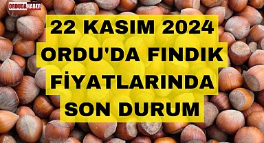 22 KASIM 2024 ORDU'DA FINDIK FİYATLARINDA SON DURUM