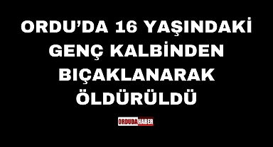 ORDU'DA BIÇAKLI KAVGADA 16 YAŞINDAKİ GENÇ HAYATINI KAYBETTİ