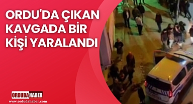 ORDU'DA ÇIKAN KAVGADA BİR KİŞİ YARALANDI