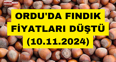 ORDU'DA FINDIK FİYATLARI DÜŞTÜ (10.11.2024)