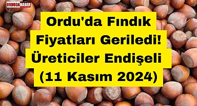 Ordu'da Fındık Fiyatları Geriledi! Üreticiler Endişeli (11 Kasım 2024)