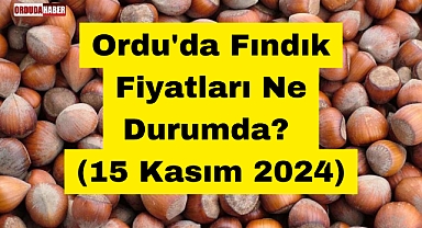 Ordu'da Fındık Fiyatları Ne Durumda? (15 Kasım 2024)
