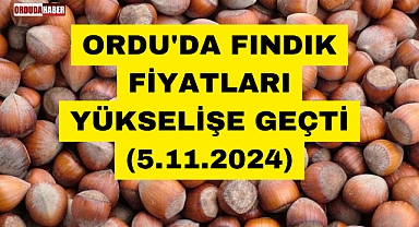 ORDU'DA FINDIK FİYATLARI YÜKSELİŞE GEÇTİ (5.11.2024)