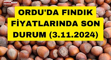 ORDU'DA FINDIK FİYATLARINDA SON DURUM (3.11.2024)