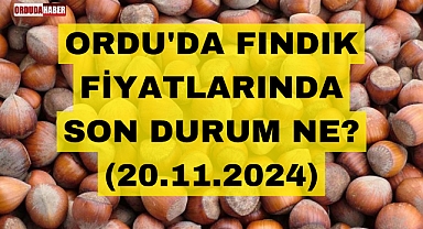 ORDU'DA FINDIK FİYATLARINDA SON DURUM NE? (20.11.2024)
