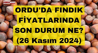ORDU'DA FINDIK FİYATLARINDA SON DURUM NE? (26 Kasım 2024)