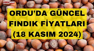 ORDU'DA GÜNCEL FINDIK FİYATLARI (18 KASIM 2024)