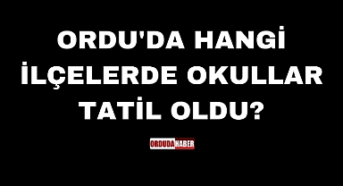 ORDU'DA HANGİ İLÇELERDE OKULLAR TATİL OLDU?