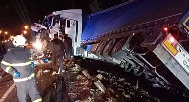 ORDU'DA LASTİĞİ PATLAYAN TIR YAN YATTI