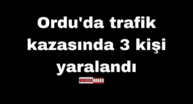 Ordu'da trafik kazasında 3 kişi yaralandı