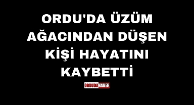 ORDU'DA ÜZÜM AĞACINDAN DÜŞEN KİŞİ HAYATINI KAYBETTİ
