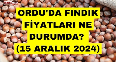ORDU'DA FINDIK FİYATLARI NE DURUMDA? (15 ARALIK 2024)
