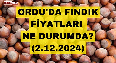 ORDU'DA FINDIK FİYATLARI NE DURUMDA? (2.12.2024)