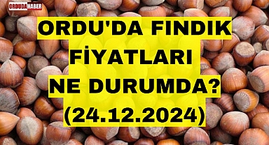 ORDU'DA FINDIK FİYATLARI NE DURUMDA? (24.12.2024)