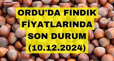 ORDU'DA FINDIK FİYATLARINDA SON DURUM (10.12.2024)