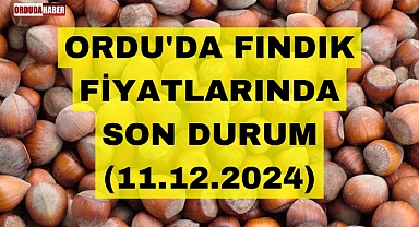 ORDU'DA FINDIK FİYATLARINDA SON DURUM (11.12.2024)