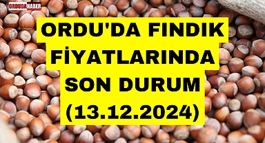 ORDU'DA FINDIK FİYATLARINDA SON DURUM (13.12.2024)