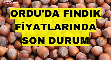 ORDU'DA FINDIK FİYATLARINDA SON DURUM