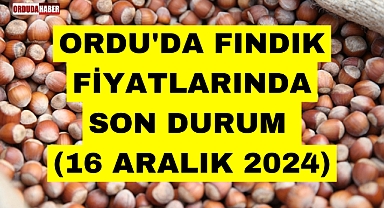 ORDU'DA FINDIK FİYATLARINDA SON DURUM (16 ARALIK 2024)